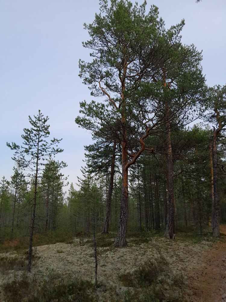 Photograph by Виталий Глазачев