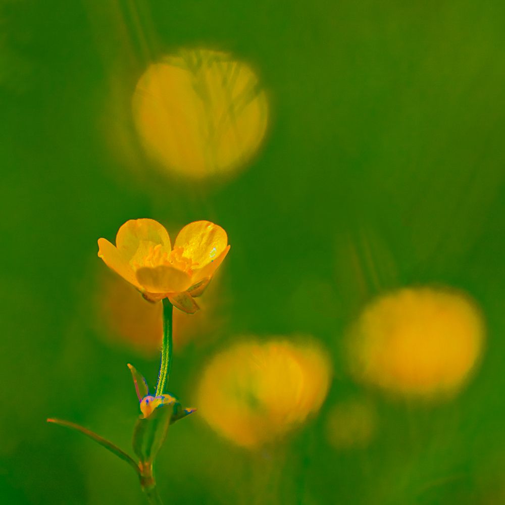Photograph by Владимир Чуприков