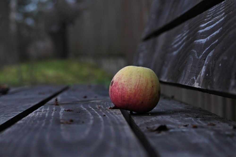 Photograph by IRINA FILIPPOVA