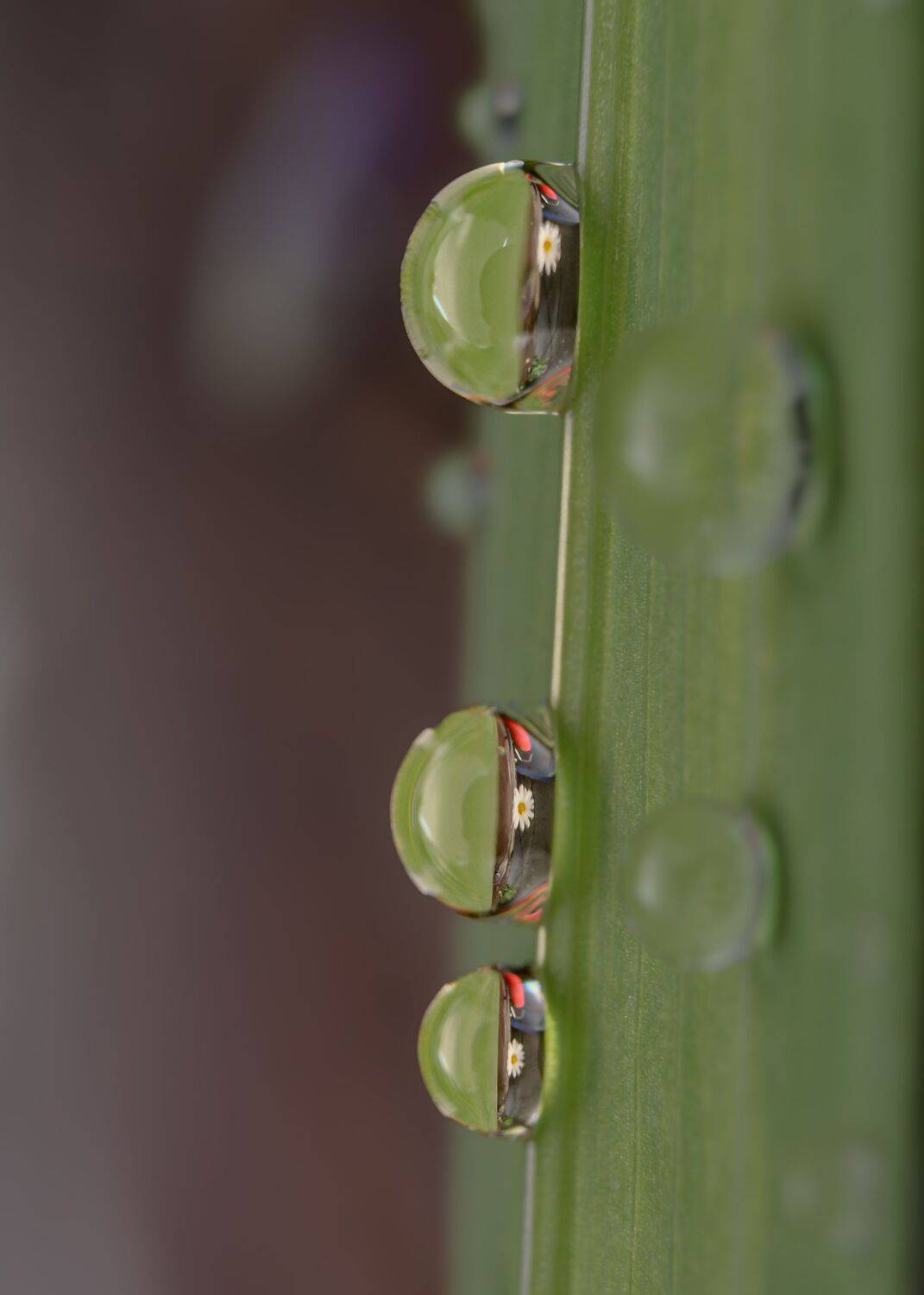 Gotas de agua
