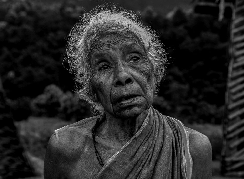 Фотография автора ANIL KUMAR DESHPANDE