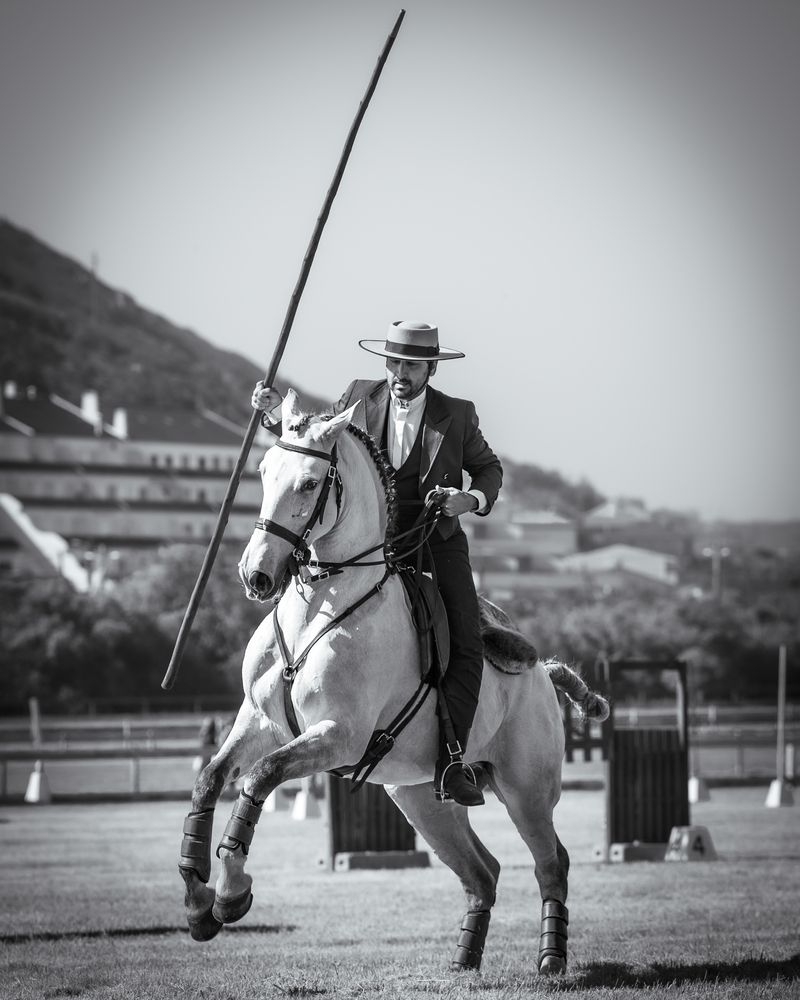 Photo #13633609