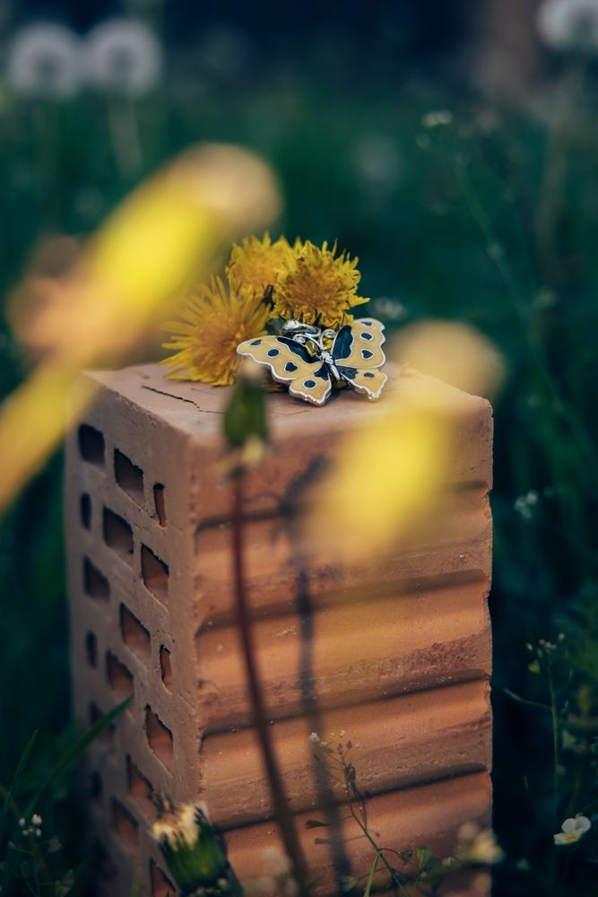 Photograph by Анна Гусева