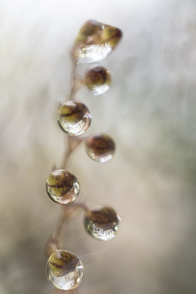 Photo #13633722