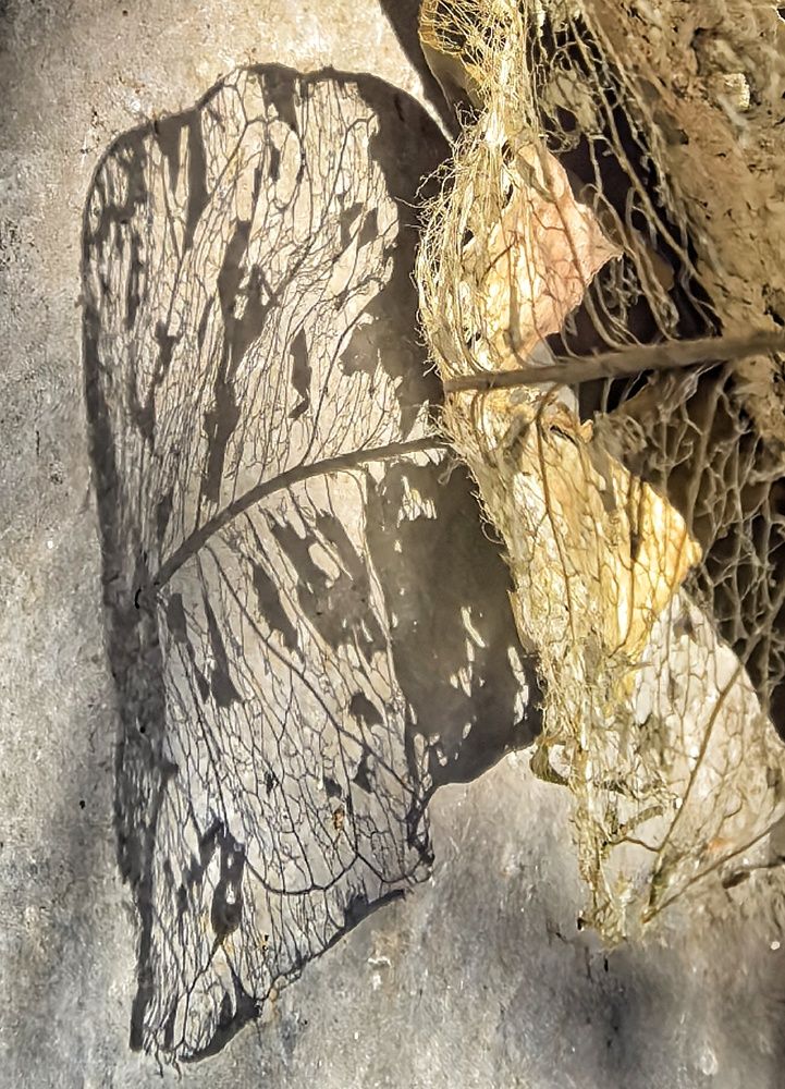 Still life and shadows