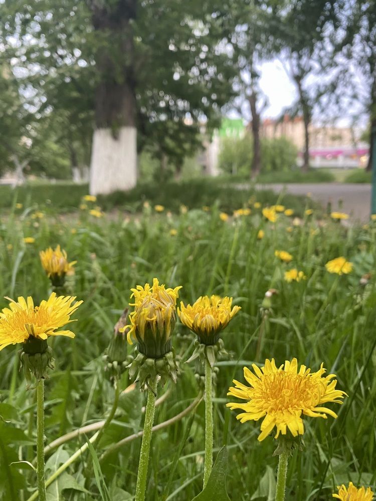 Photograph by Олеся Чистова
