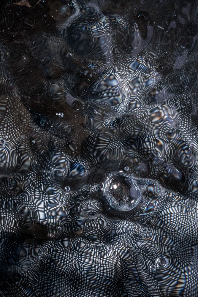Photograph by Ewelina Kot