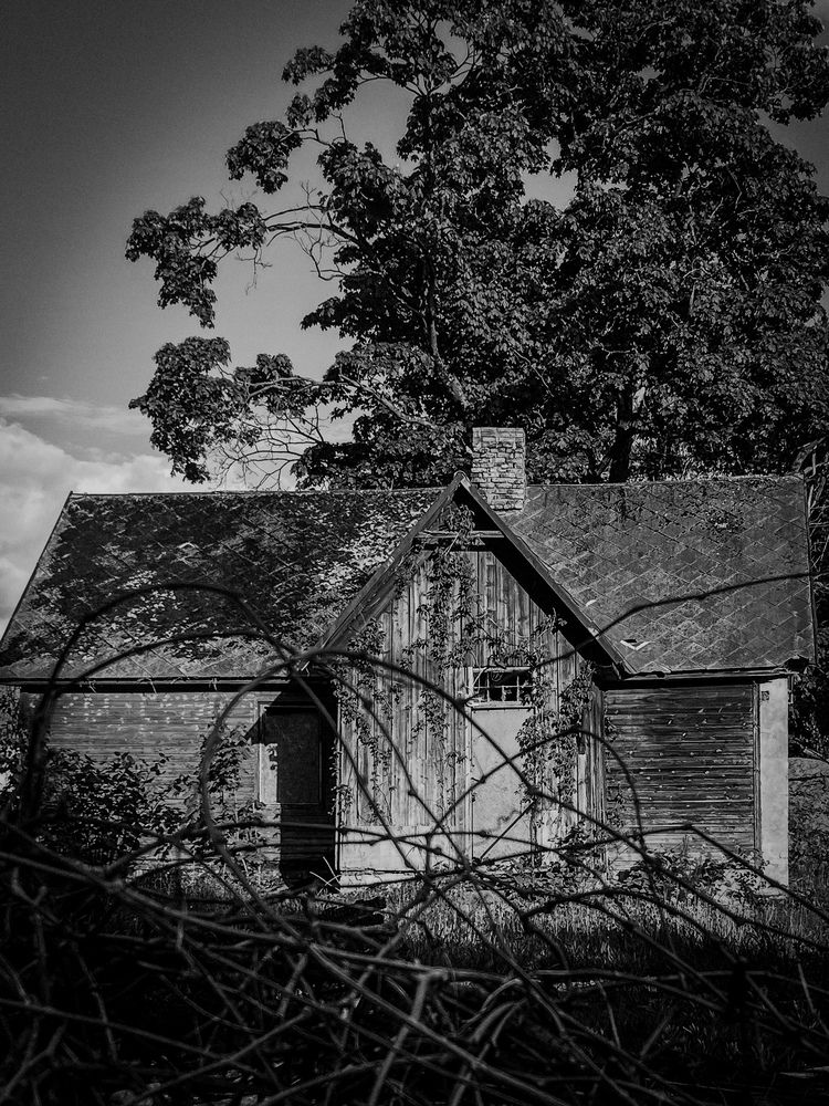 Photograph by Rita K.