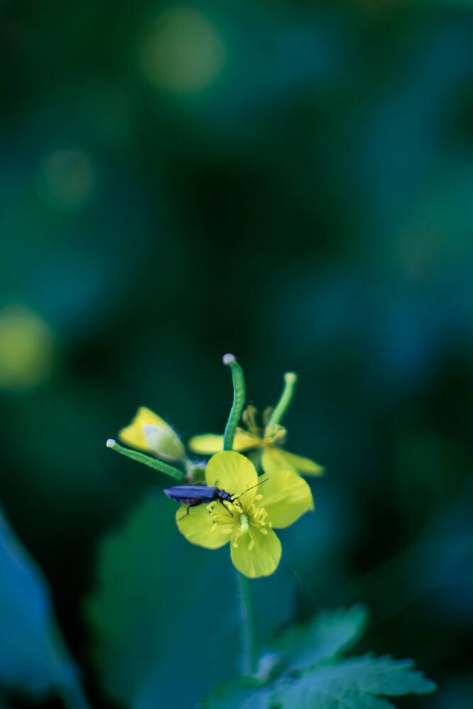 Photograph by Светлана Кочнева