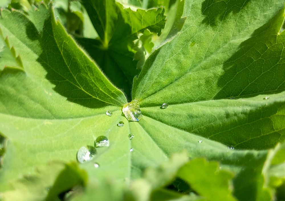 Photograph by Ирина Алексеева