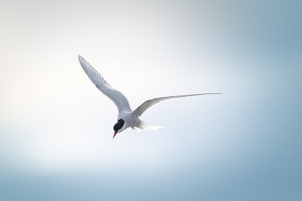 Photograph by Рыжков Юрий