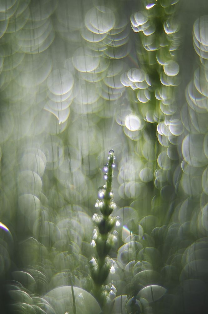 Photograph by Олег Красиков
