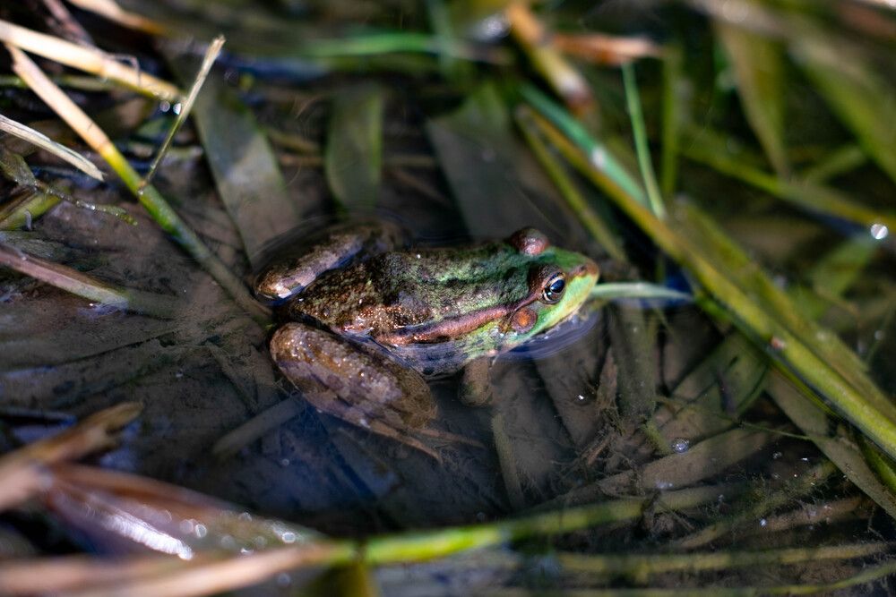 Photograph by Максим Шевченко