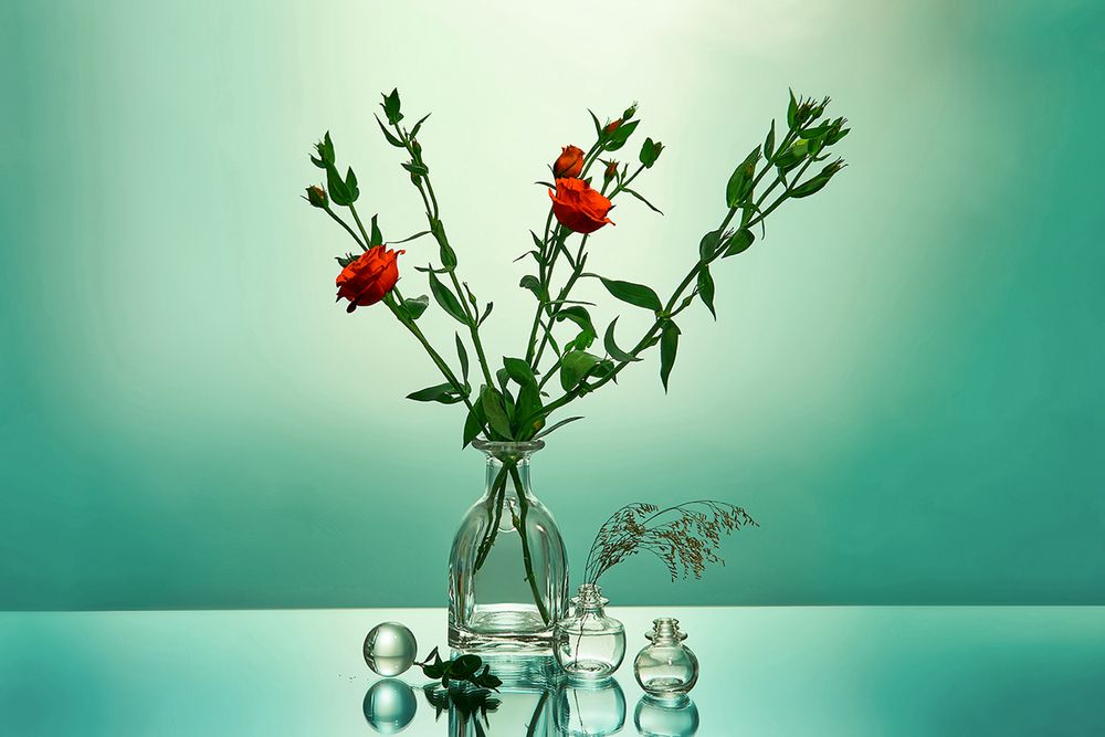 Photograph by MVO (Марк Орлов)