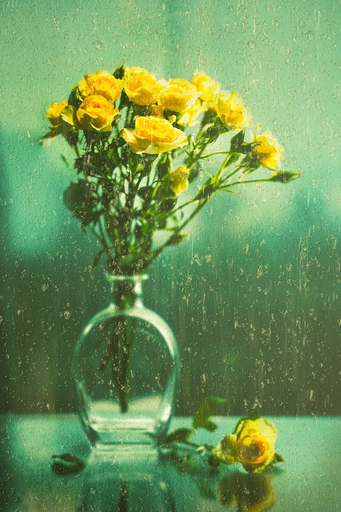 Photograph by MVO (Марк Орлов)