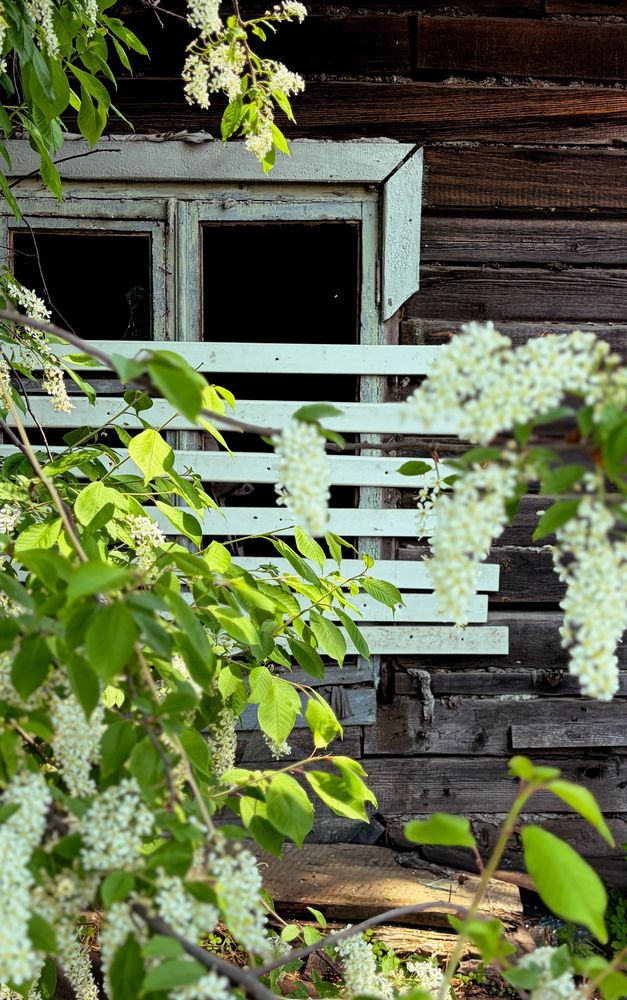 Photograph by Елена Банникова