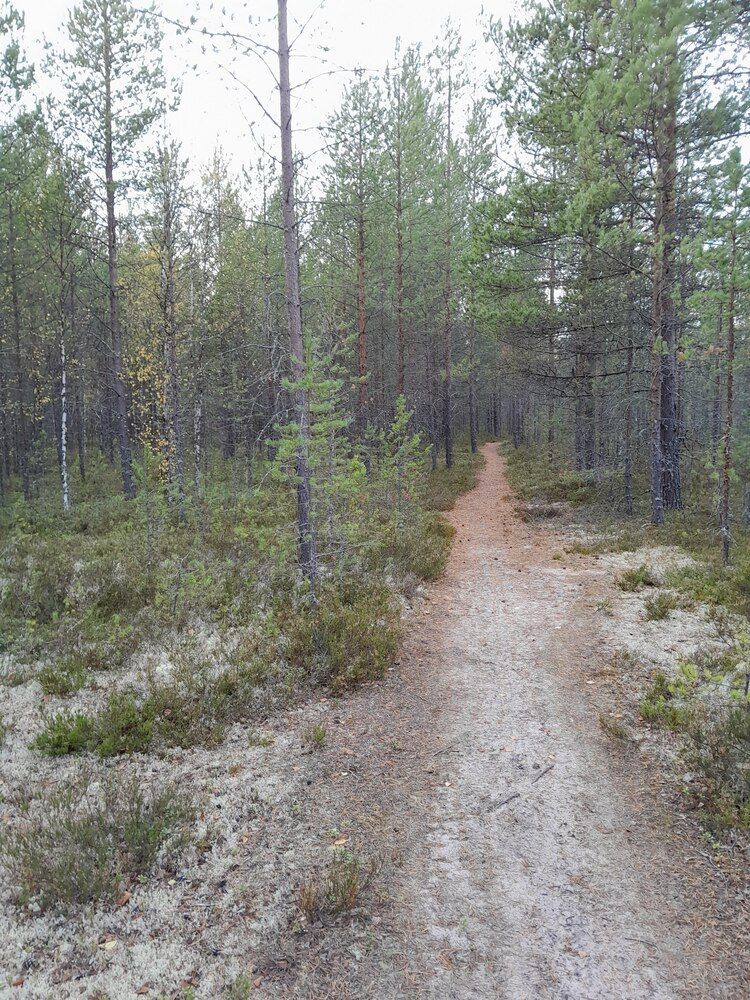 Photograph by Виталий Глазачев