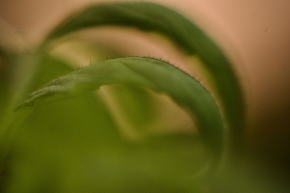 Photograph by Швец Павел