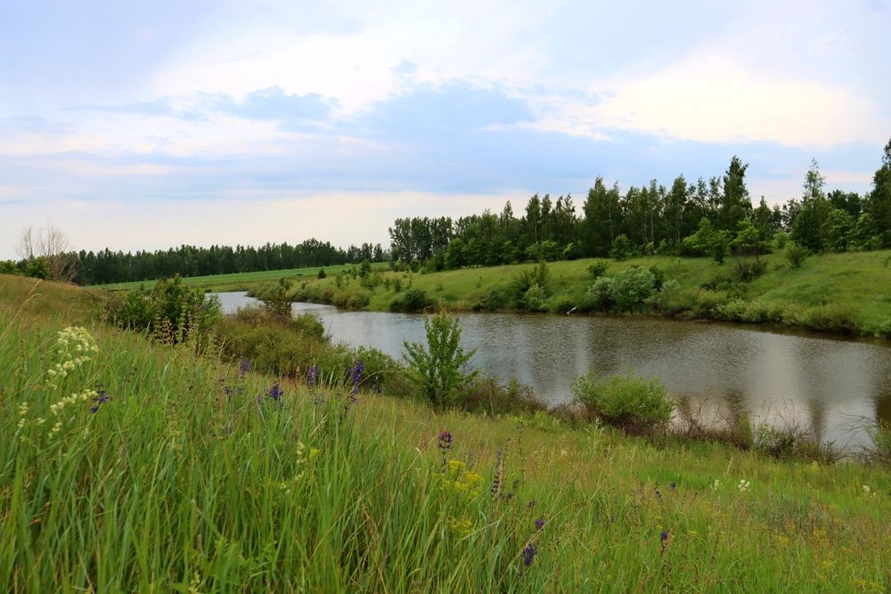 Photograph by Лариса Левченко