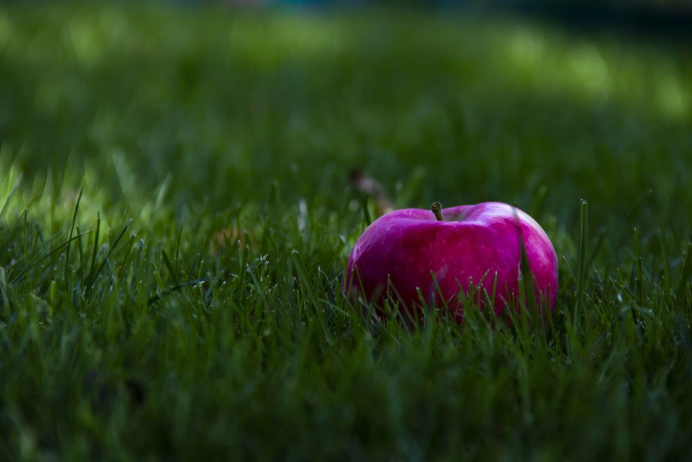 Photograph by Андрей Злобин