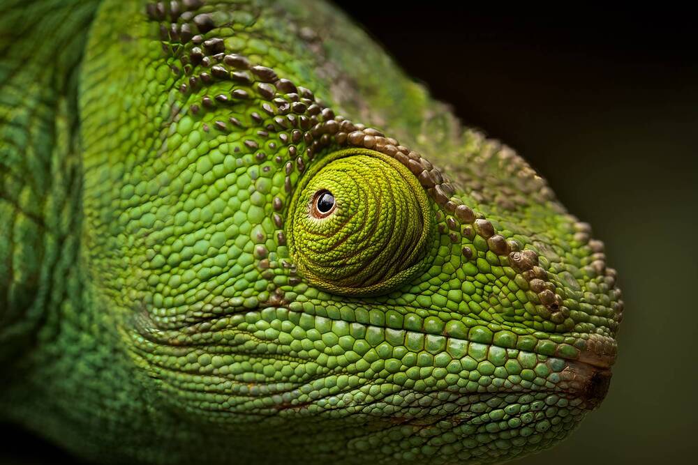 Photograph by Николай Мозгунов