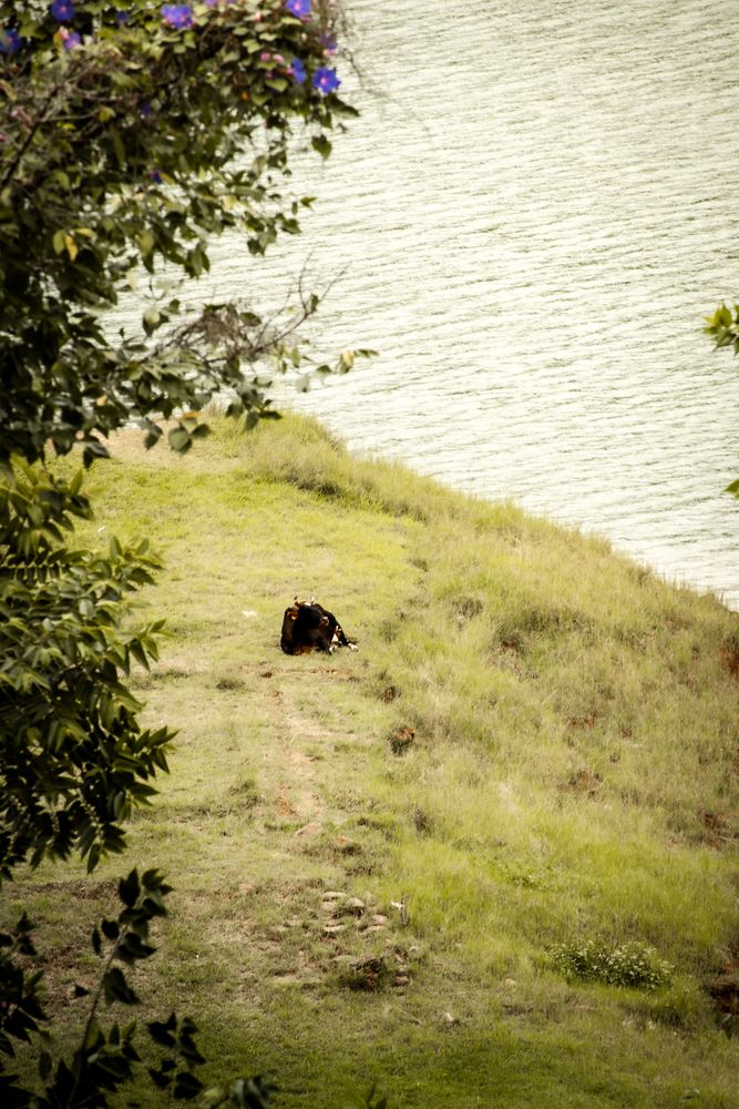 Photograph by Chandan Mahato