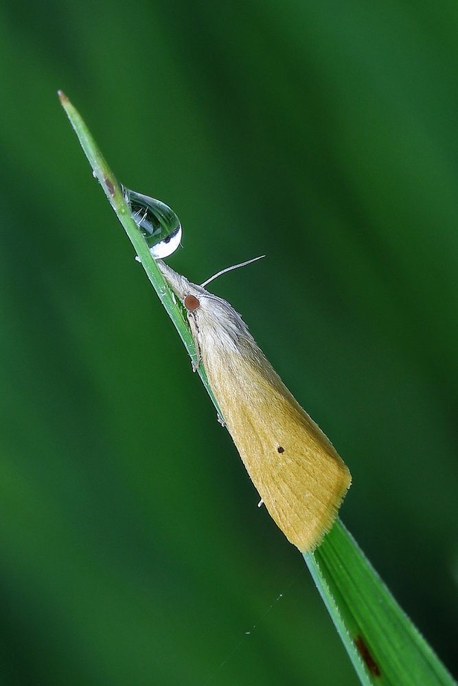 Photograph by Raju Ponaganti