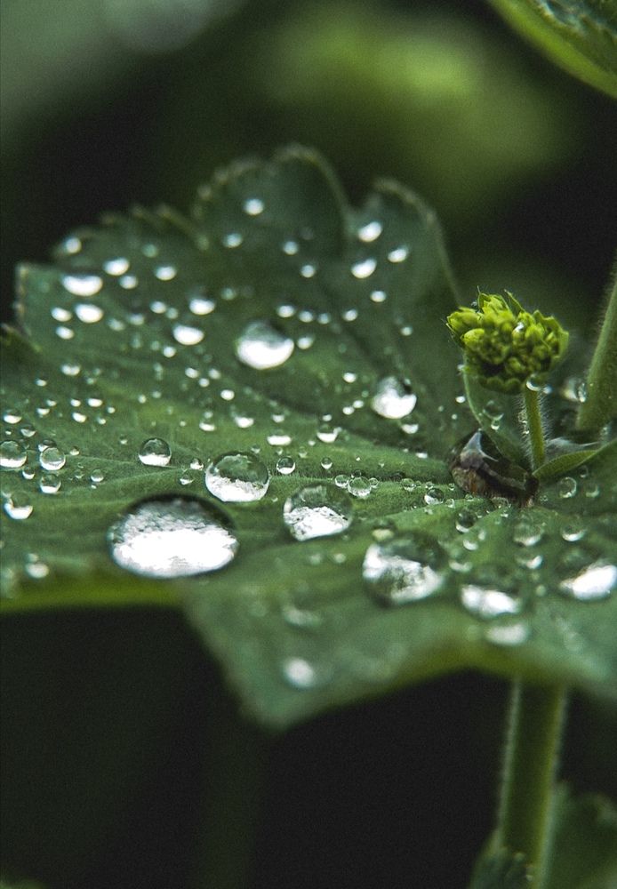 Фотография автора Юлия Носкова