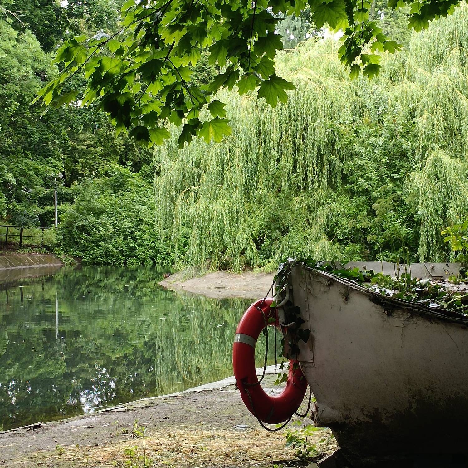 Photo #13634263
