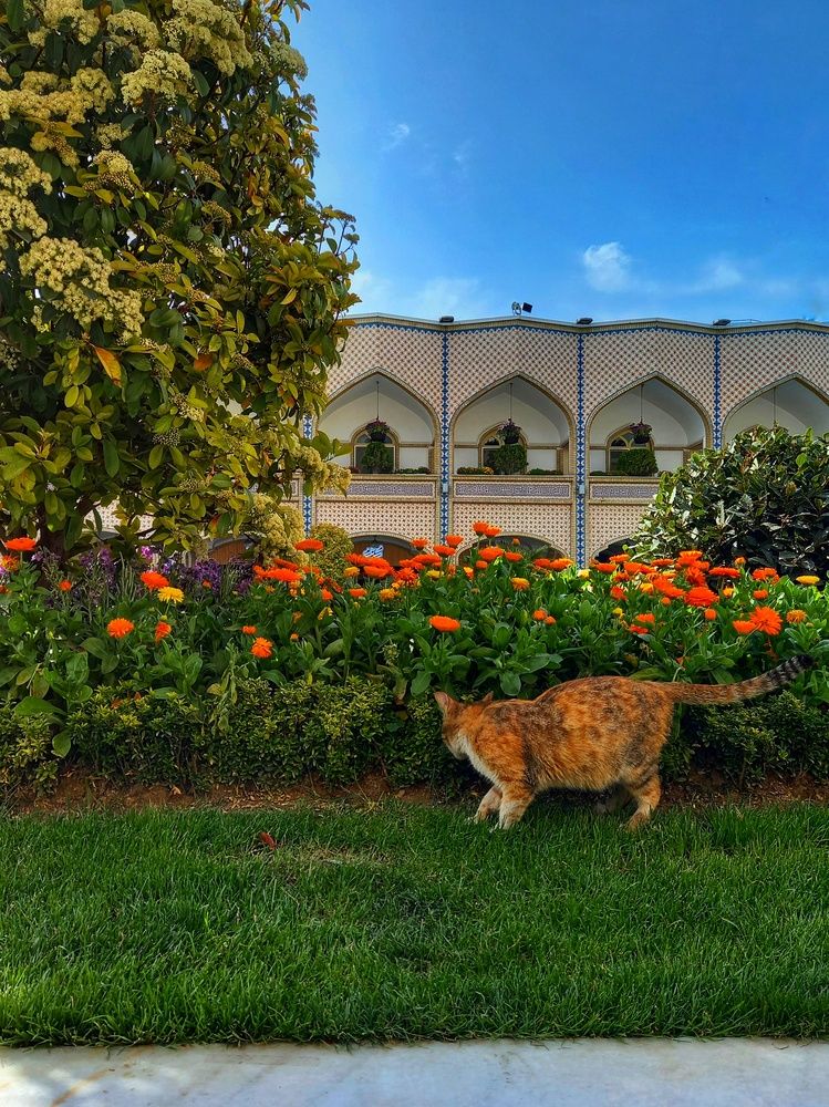 Photograph by Marjan Rezaeyan