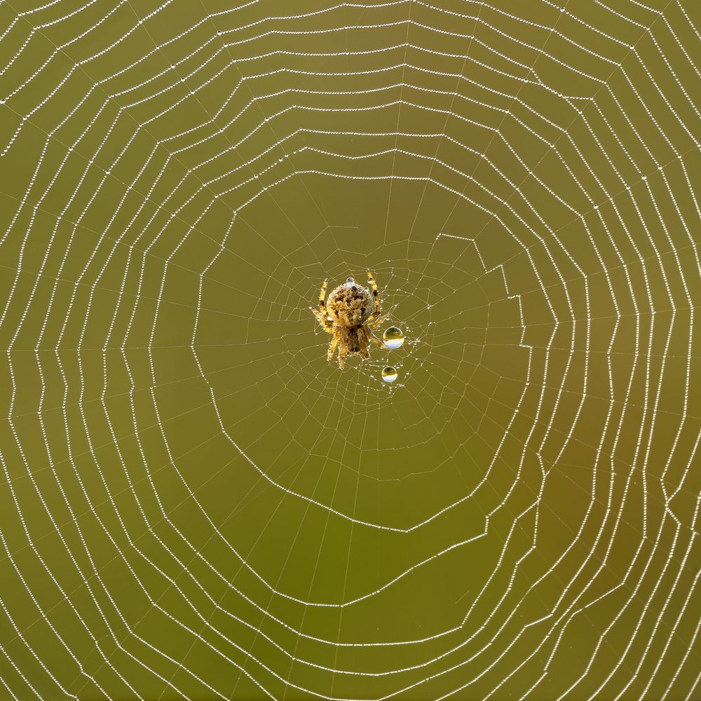 Photograph by Павел Колеснев