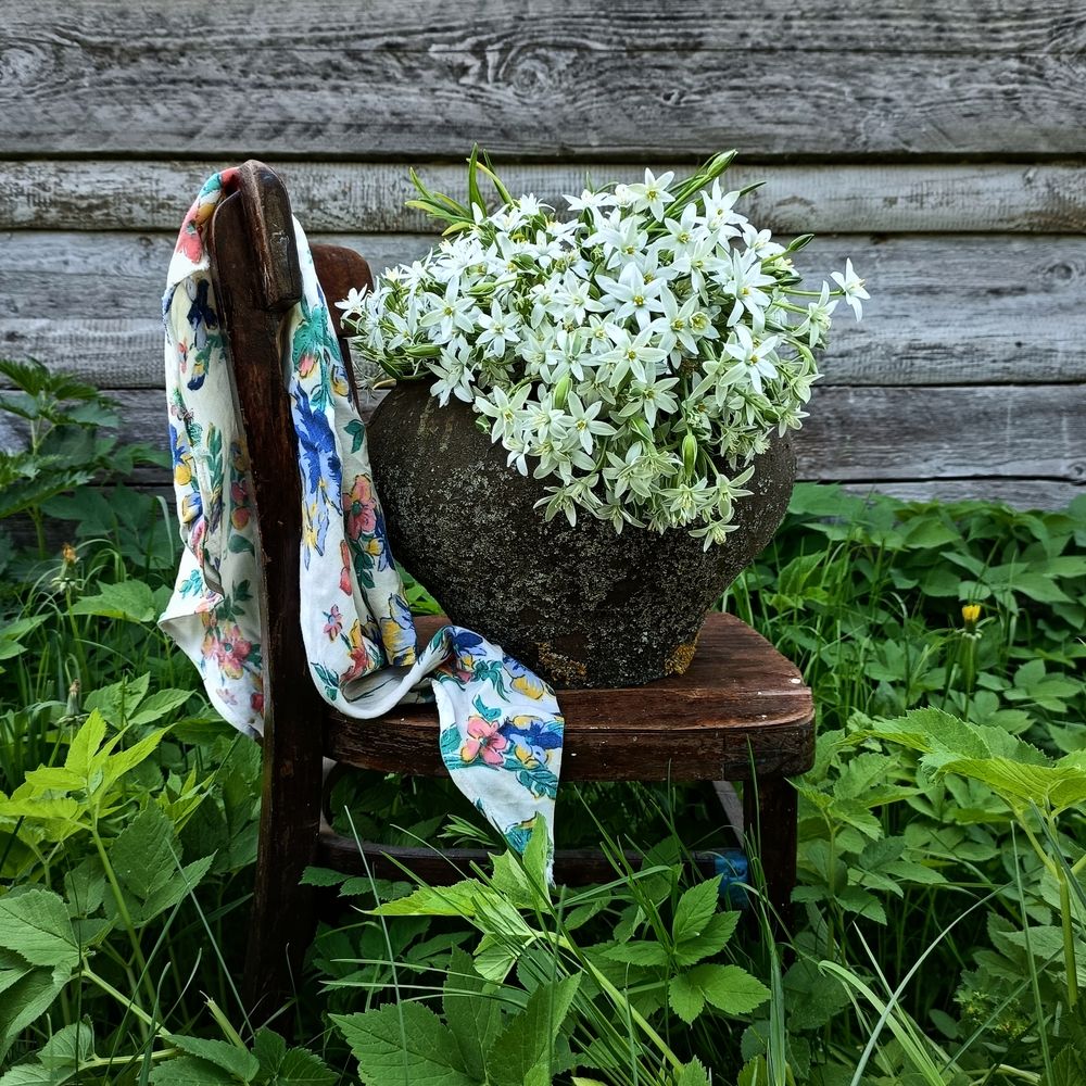Photograph by Татьяна Антонова