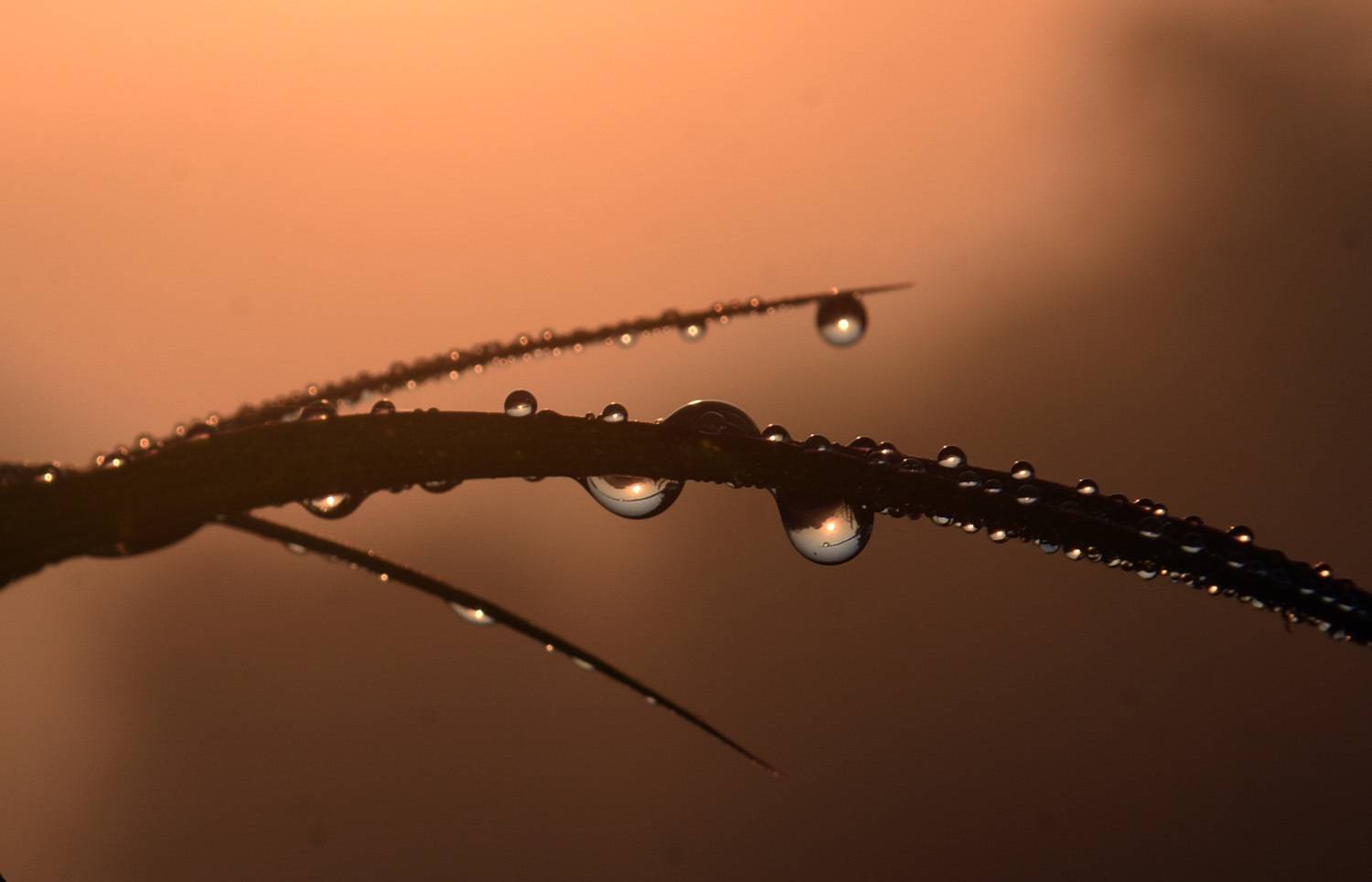 Photo #13634340