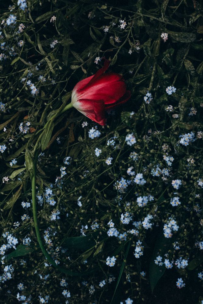 Photograph by Ирина Романовская