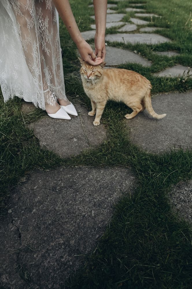 Photograph by Позняк Татьяна