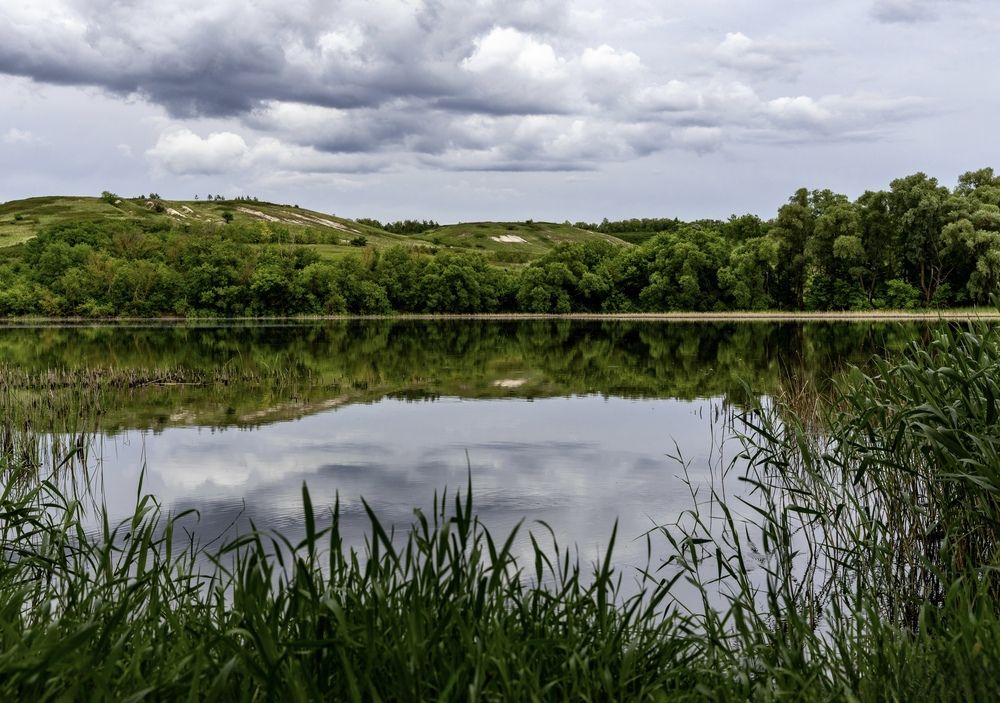 Photograph by Ирина Бабич