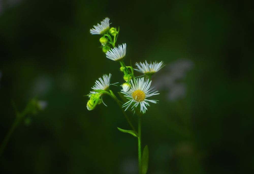 Photograph by Aлексей Игнатьев