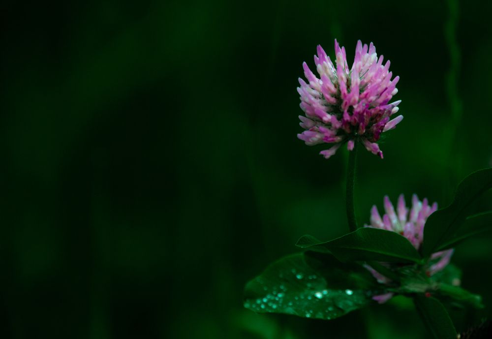 Photograph by Aлексей Игнатьев