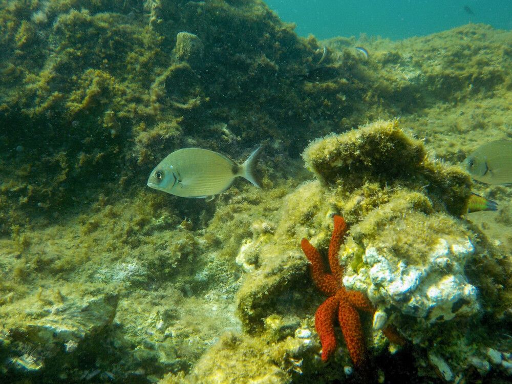 Photograph by Alexandros Melidis