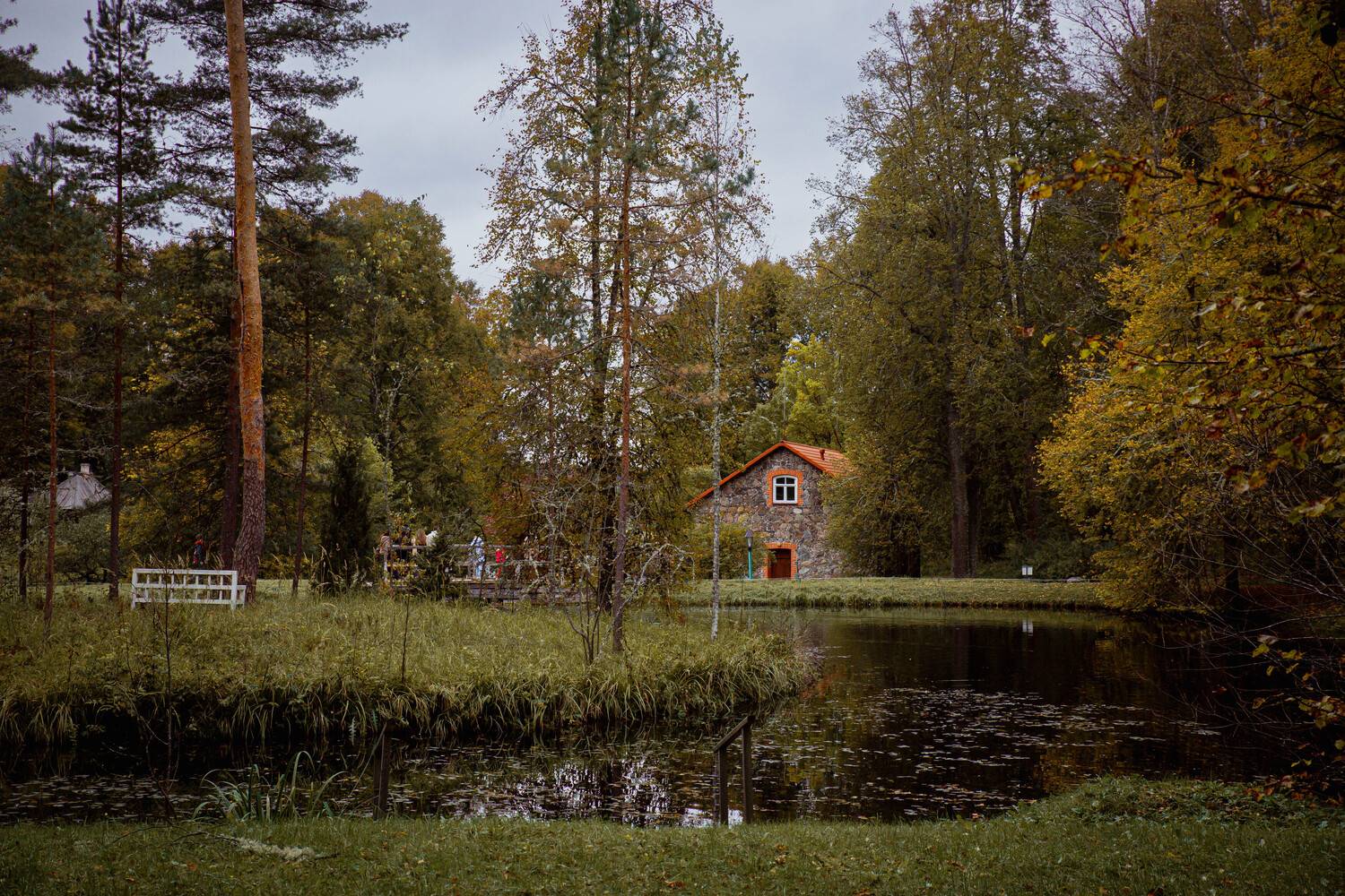 Photo #13634542