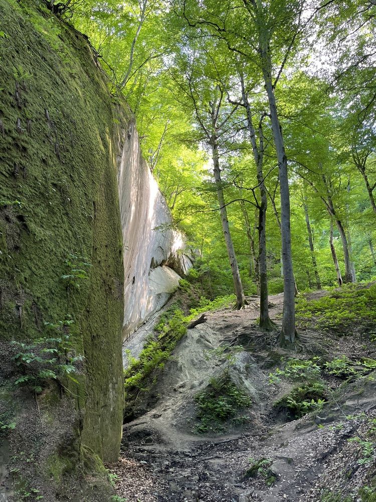 Photograph by Дарья Булатова