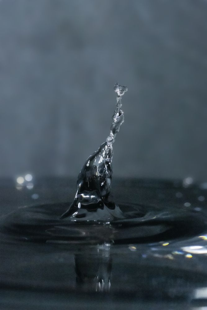 Photograph by Surjadeep Gupta