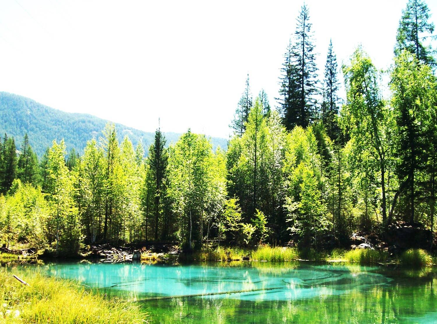 Photo #13634655