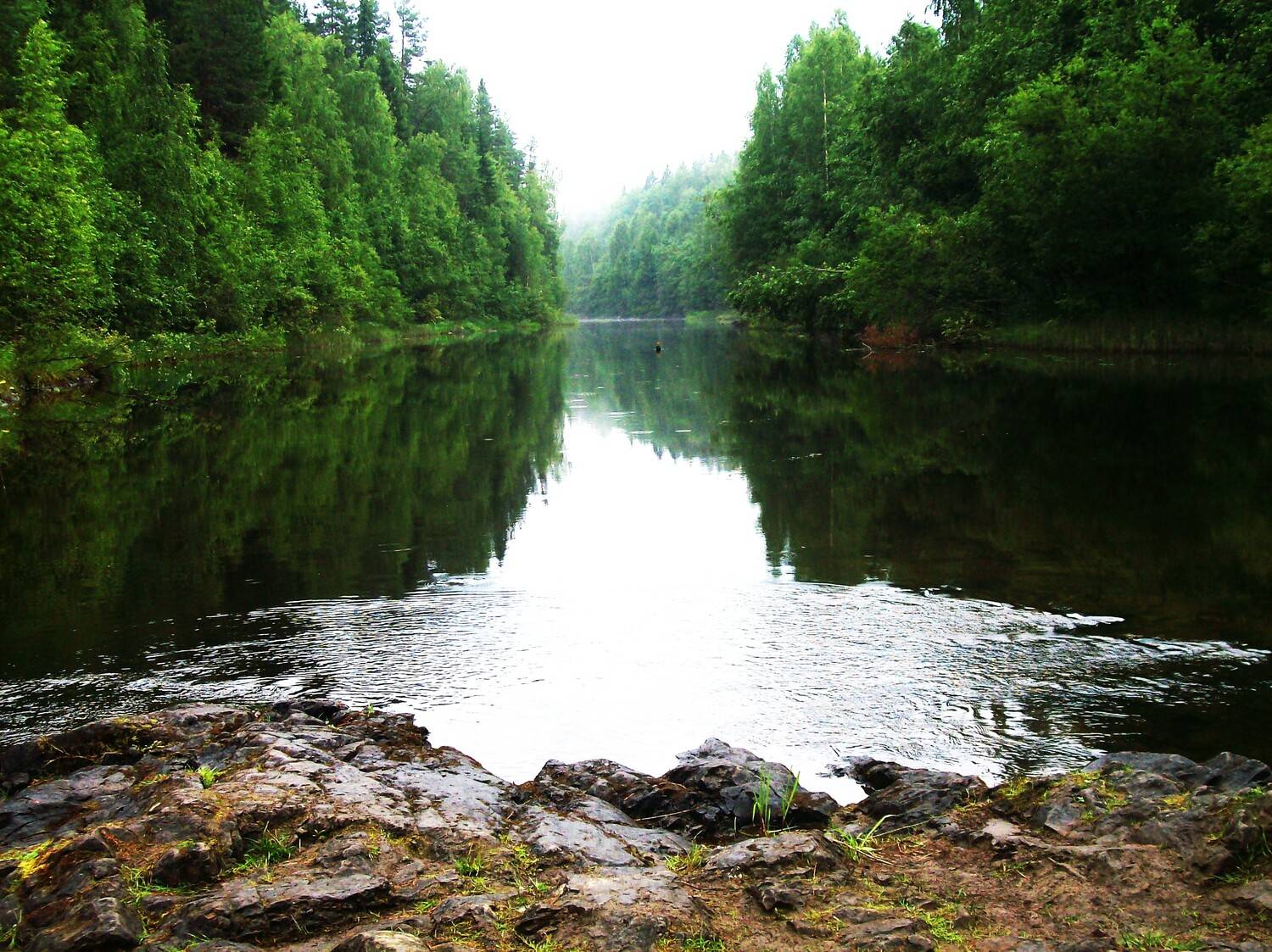 Photo #13634660