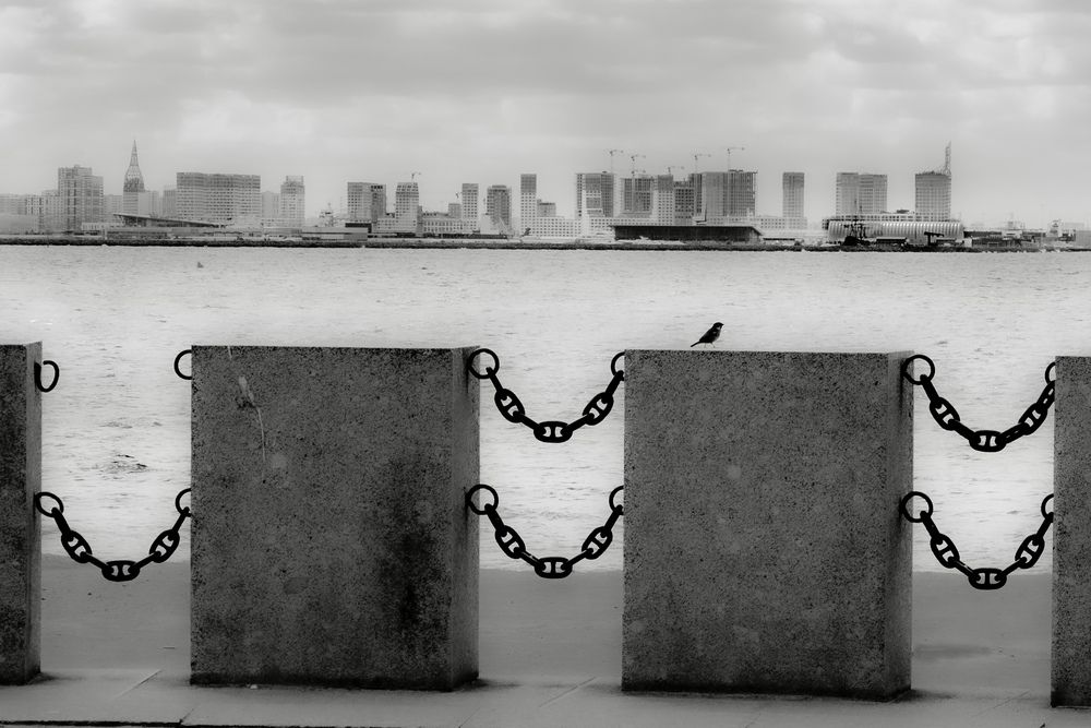 Photograph by Гордий Михаил