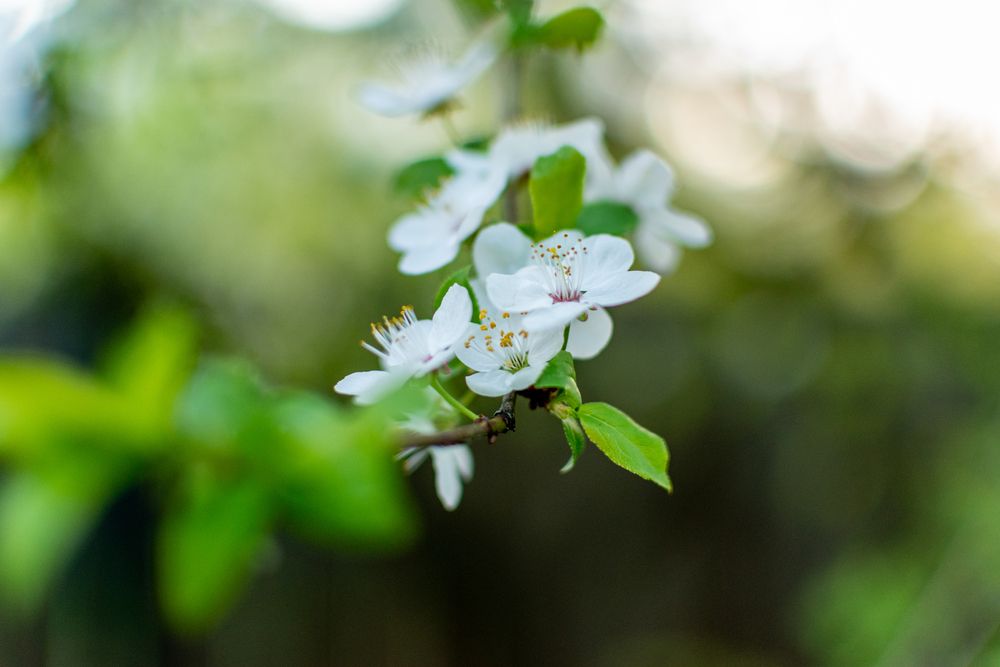 Photograph by Екатерина