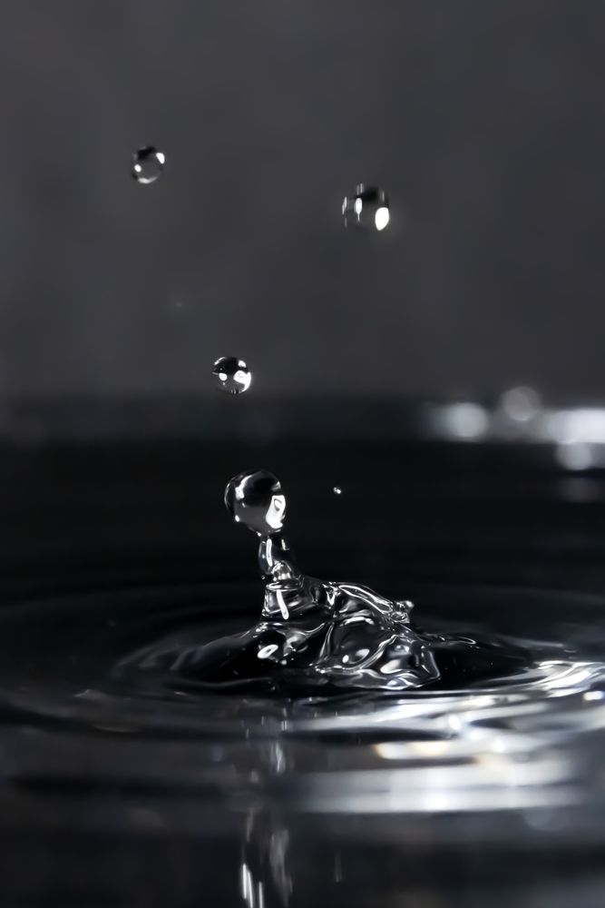 Photograph by Surjadeep Gupta
