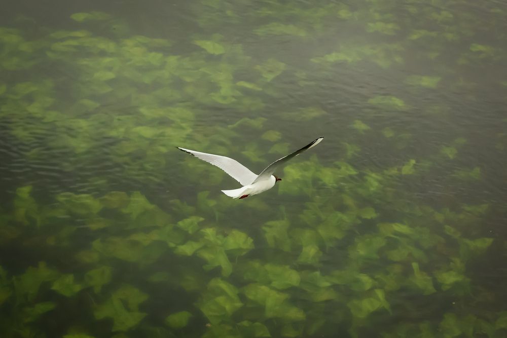 Photograph by Мария Штиль