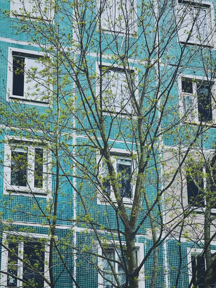 Photograph by щ2влчт цщгча2аьдч