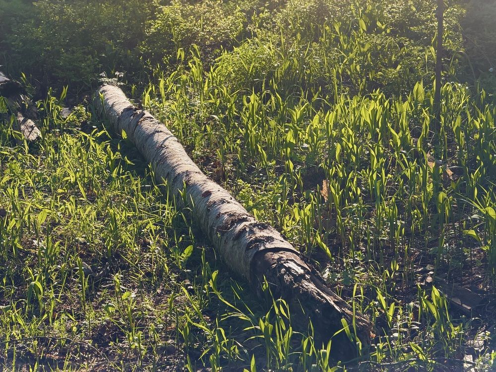 Photograph by щ2влчт цщгча2аьдч